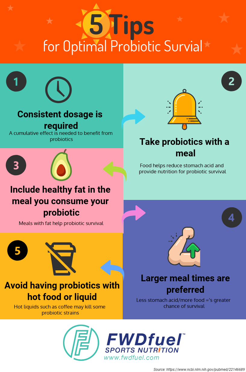 Best Time To Take Probiotics
