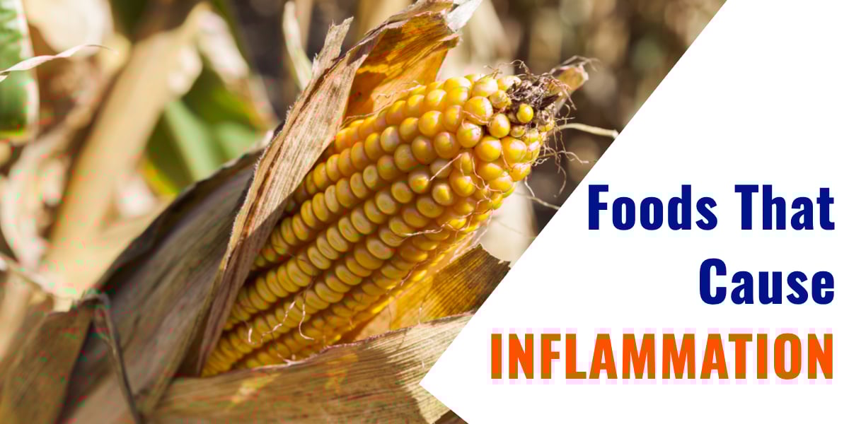 Foods That Cause Inflammation in the Body
