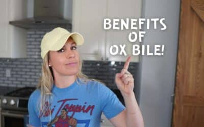 What is Ox Bile & What are the 5 Major Benefits of Ox Bile