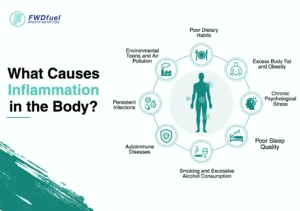 what causes inflammation in the body_result